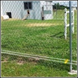 chicken wire fence post factories