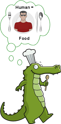 alligator that sees human as food