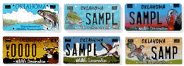 conservation license plates