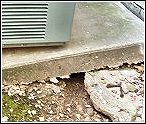 skunk or rat hole under air conditioning concrete foundation