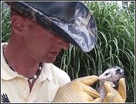wildlife whisperer ned bruha removing opossums the humane way