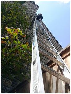 climing ladder to reach attic utilizing humane wildife removal methods