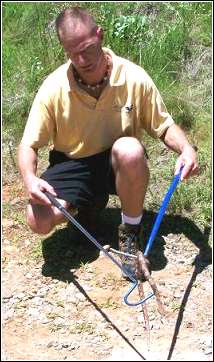 Ned Bruha, a qualified wildlife control professional safely removing a copperhead snake.