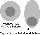 diagram showing the difference between mole and gopher holes