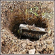 mole trap set up in hole
