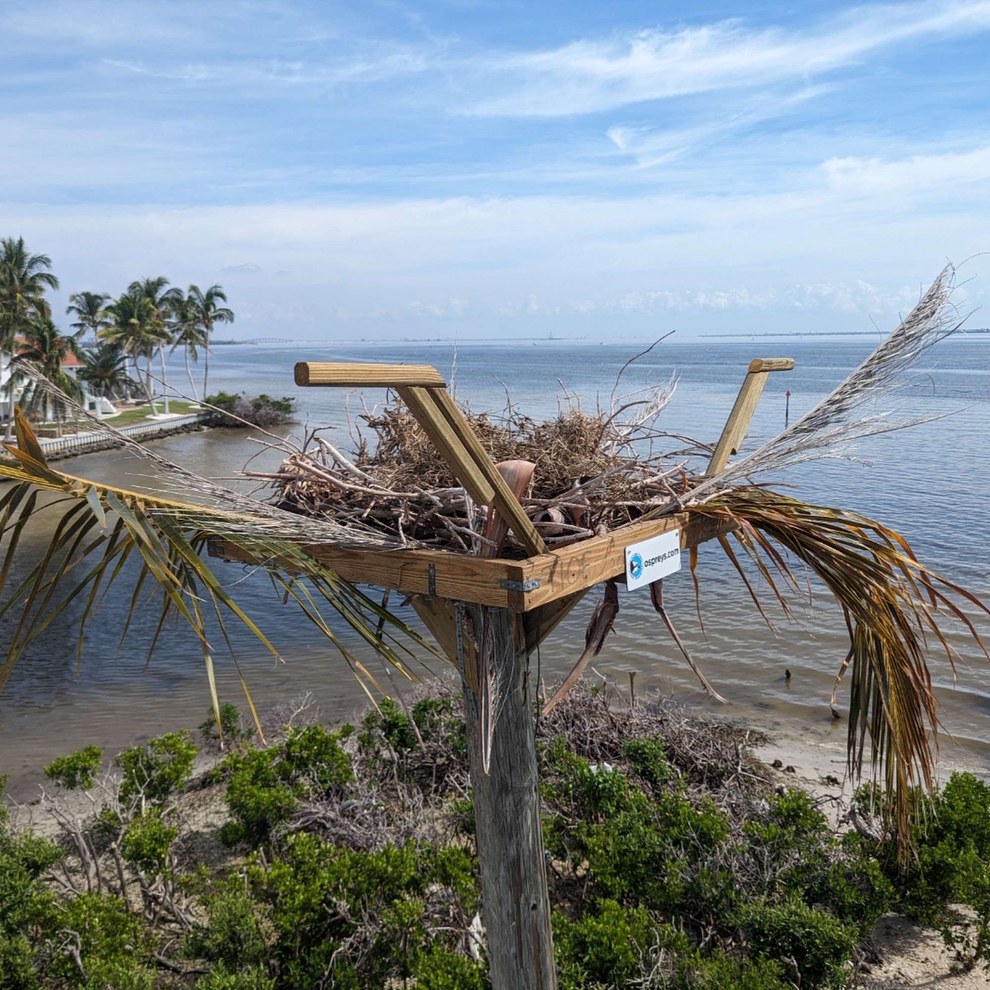 Osprey platform with nest material and perch arms (example)