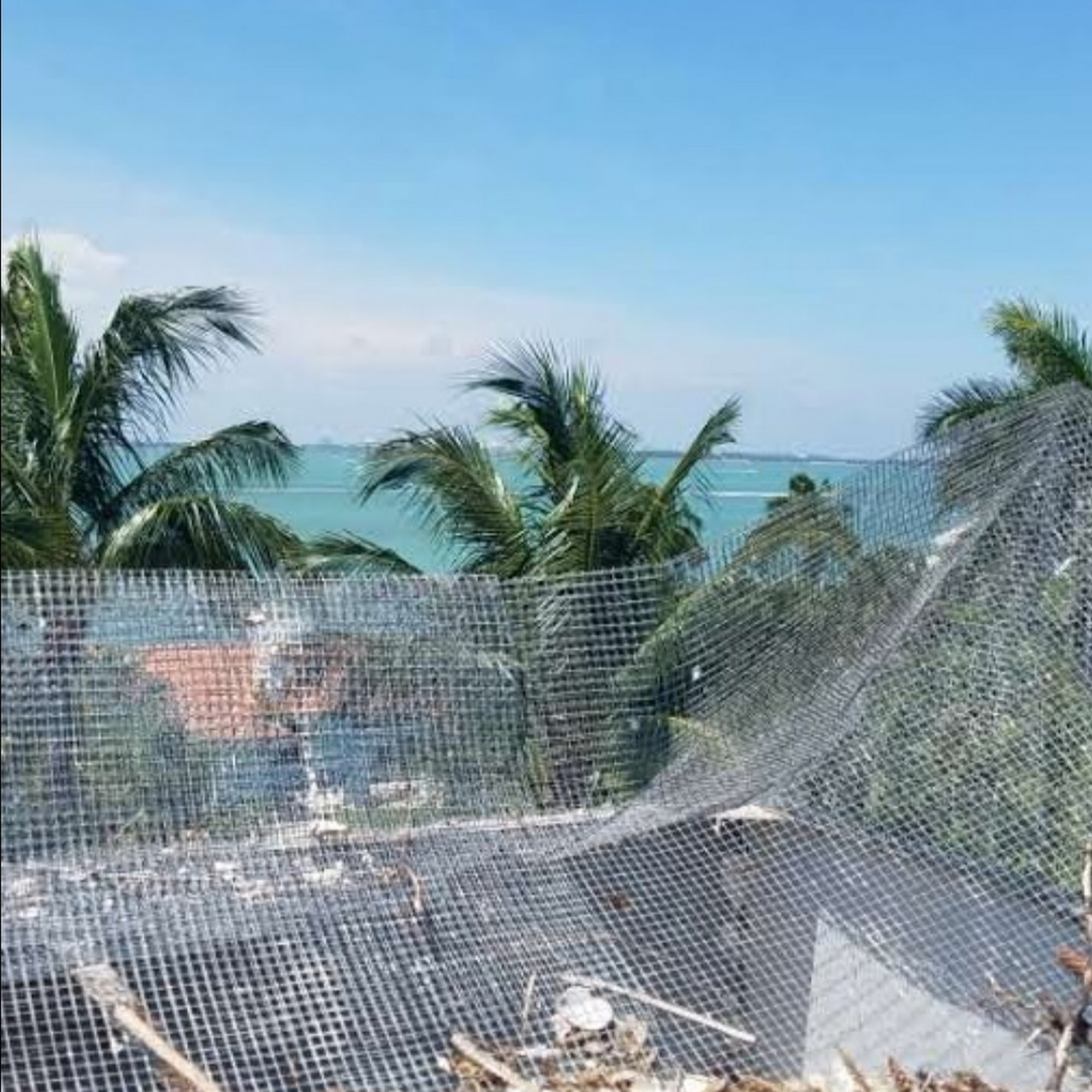 Bird spikes or horizontal mesh on a chimney cap makes nesting easier (example)