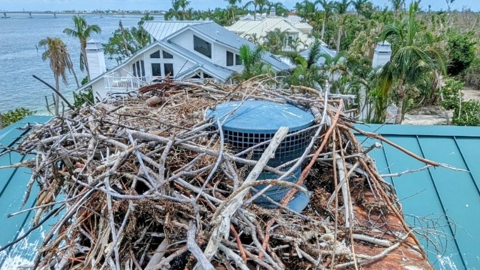 Chimney crown rust / water intrusion example photo