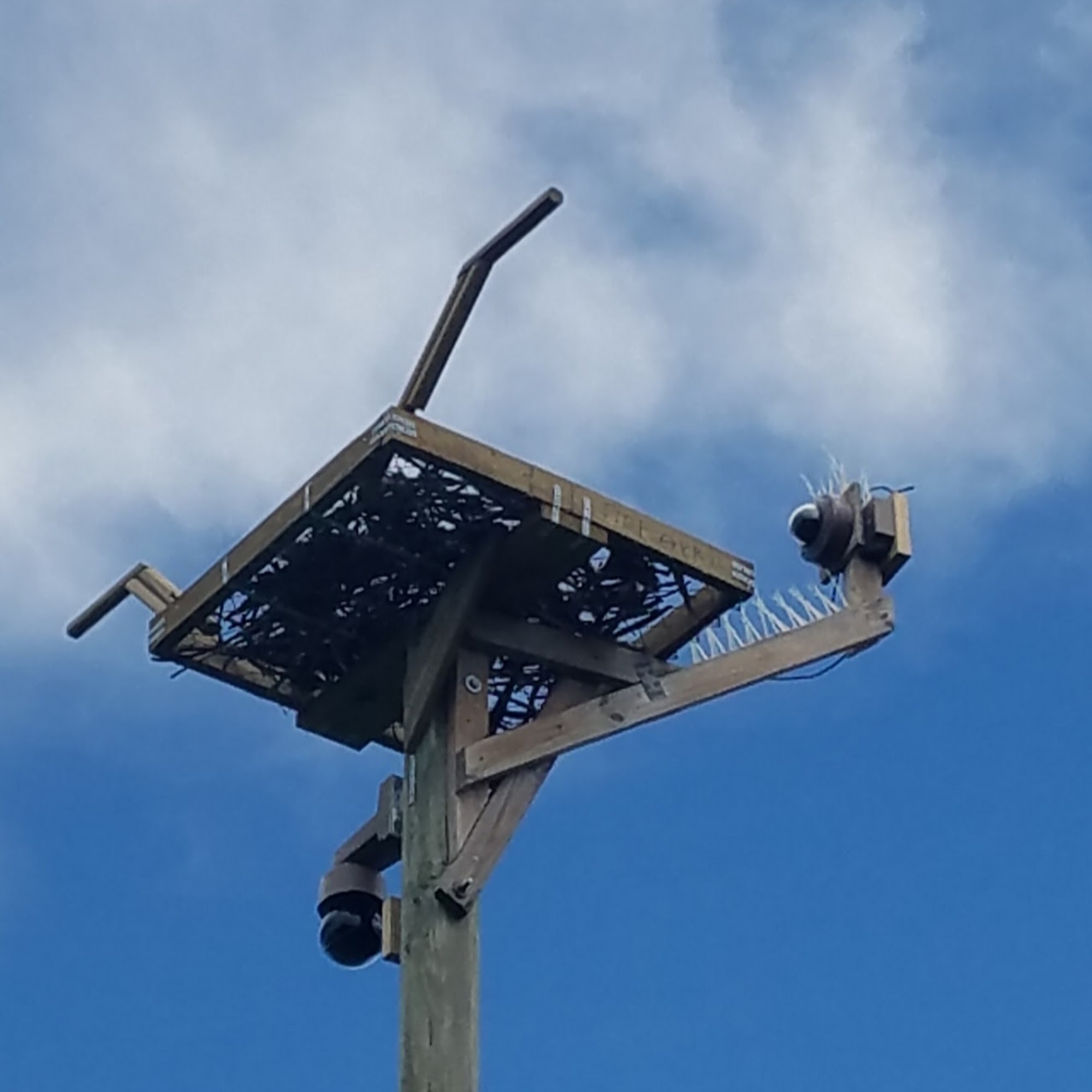Osprey platform on a pole with camera/deterrent hardware (example)