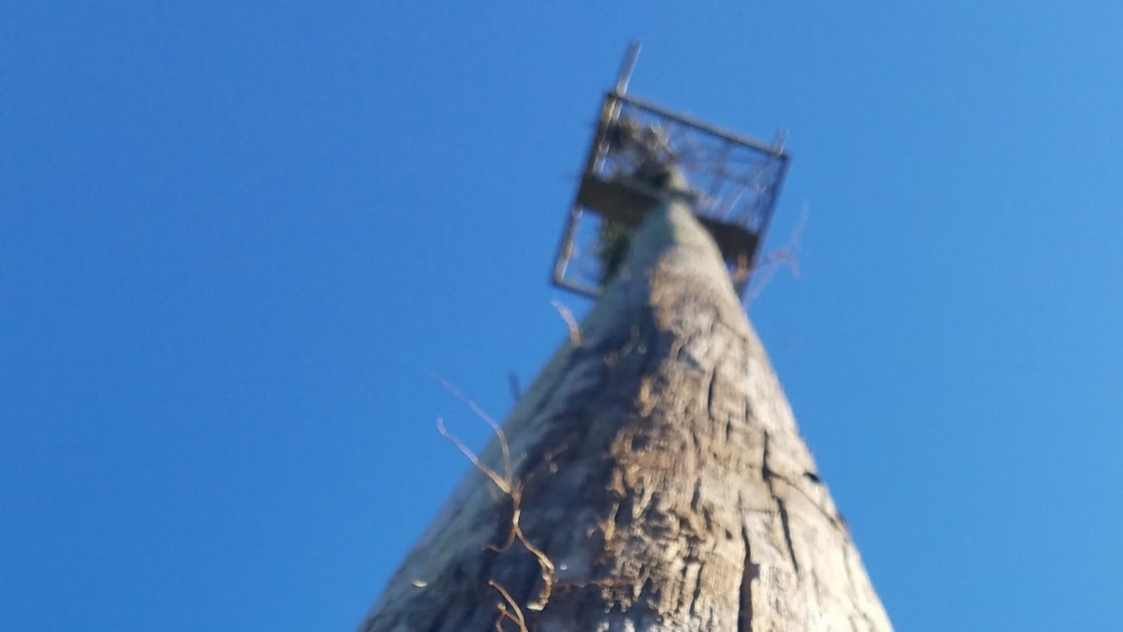 Old damaged platform that needs replacement on an existing pole
