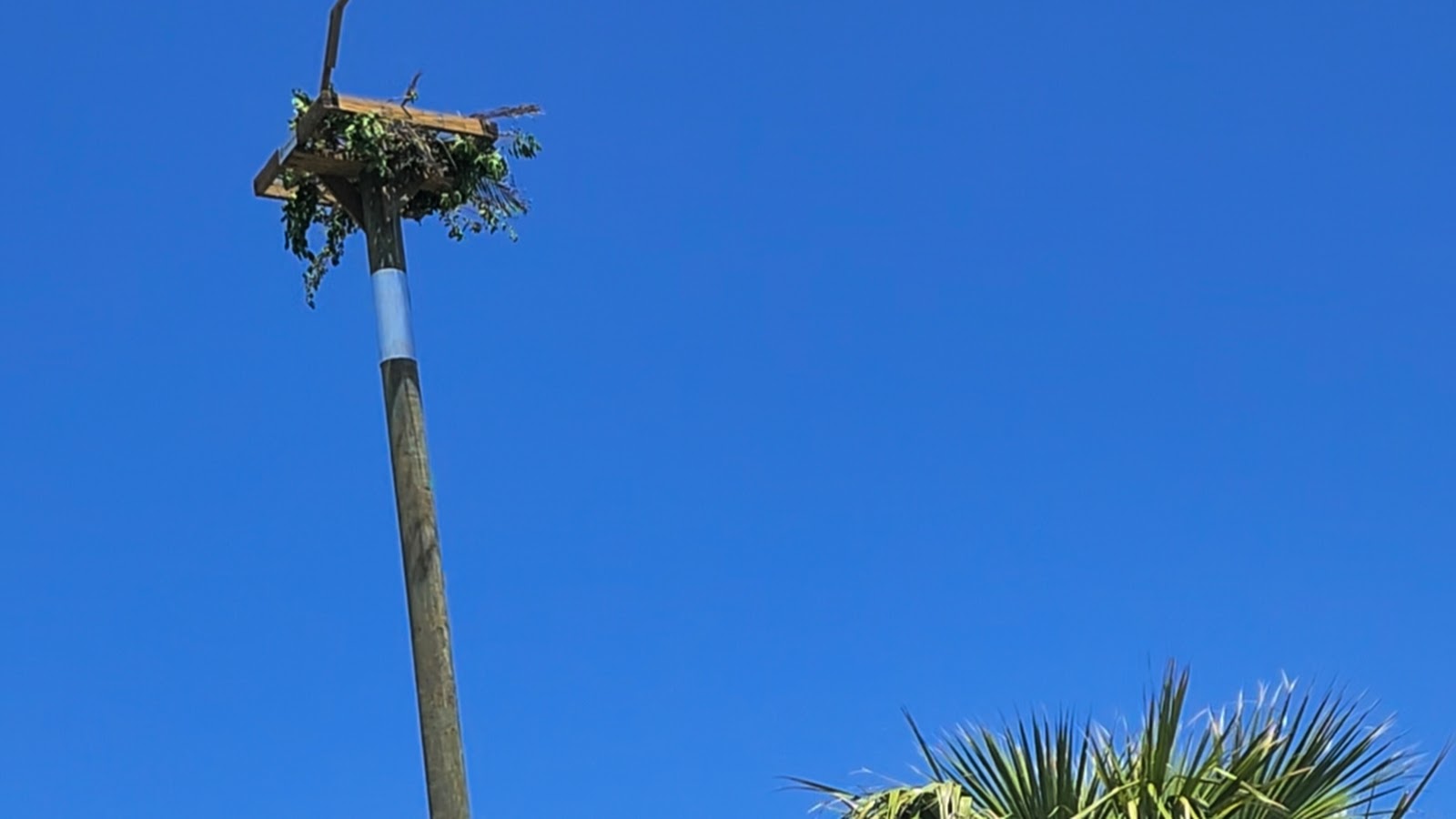 Standard pole and platform installations (example)