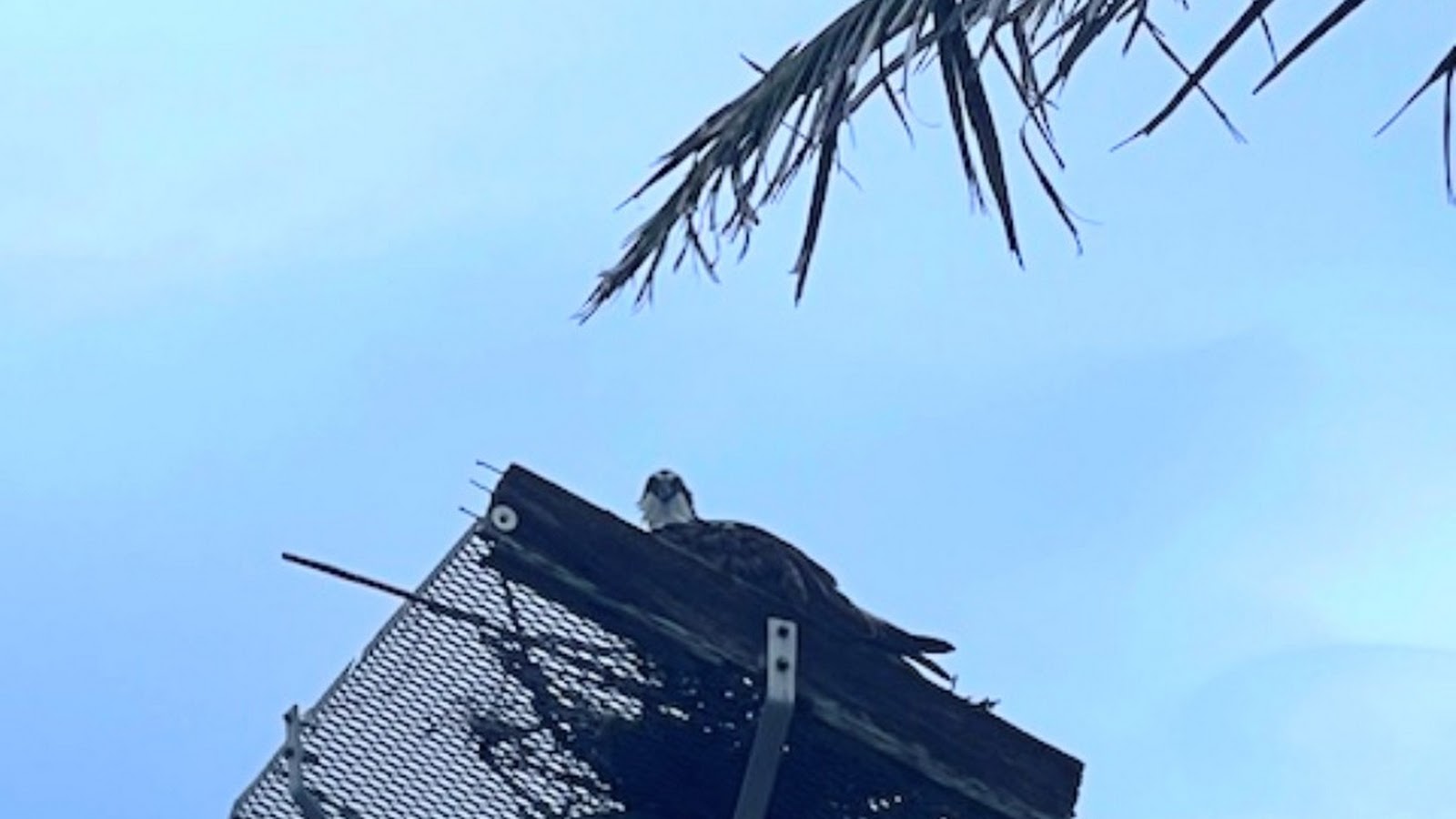 Metal platform example (not recommended)