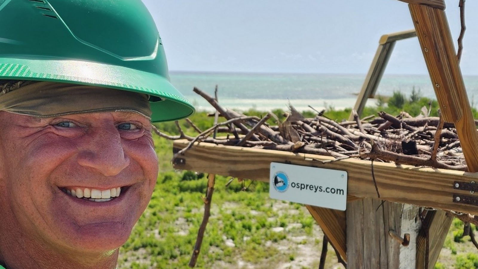 Ospreys.com / donation-supported platform components (example)