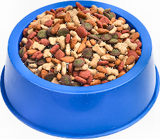 pet food, a very tempting lure for rodents