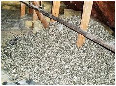 pigeon droppings piled high in an attic