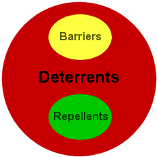 boolean diagram explaining term differences