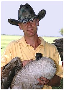 wildlife professional helping a goose