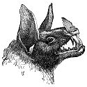 artist's rendering of a vampire bat