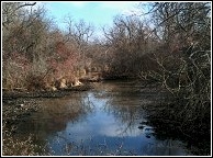 second of three beaver dams