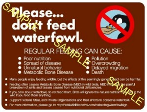 do not feed the waterfowl