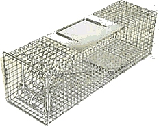 squirrel trap that can be used for rats